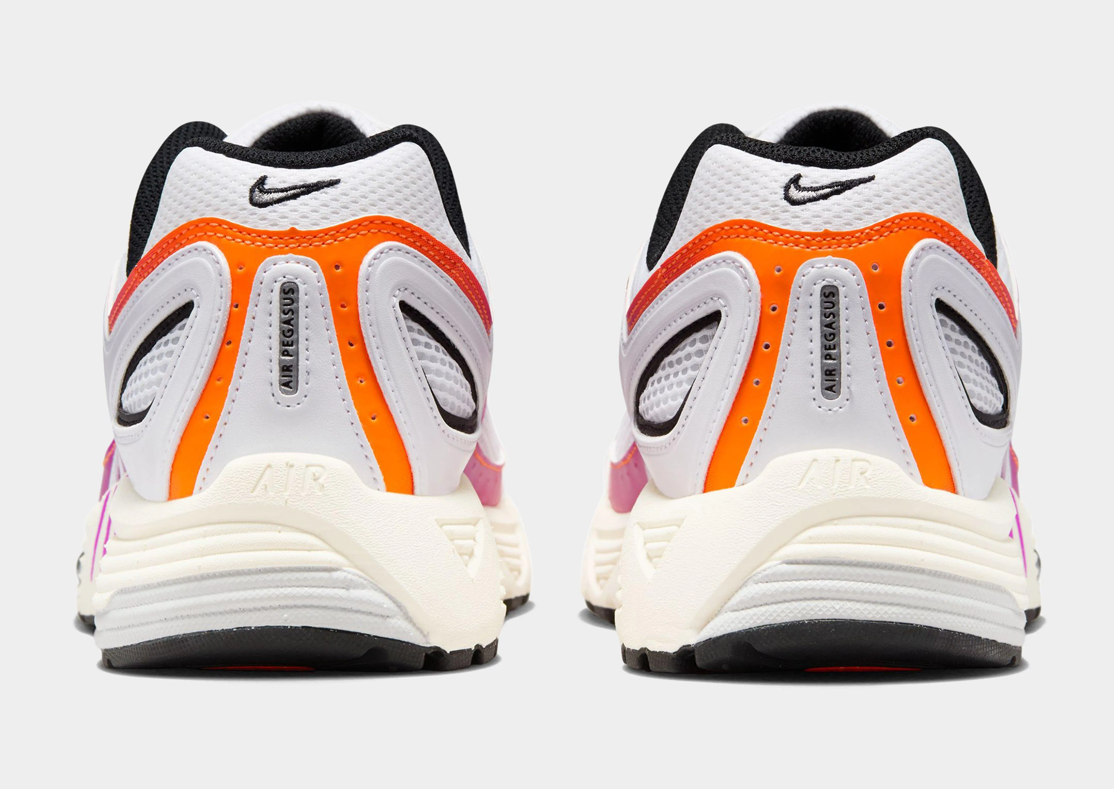 Air Pegasus 2005 Glossy Finish