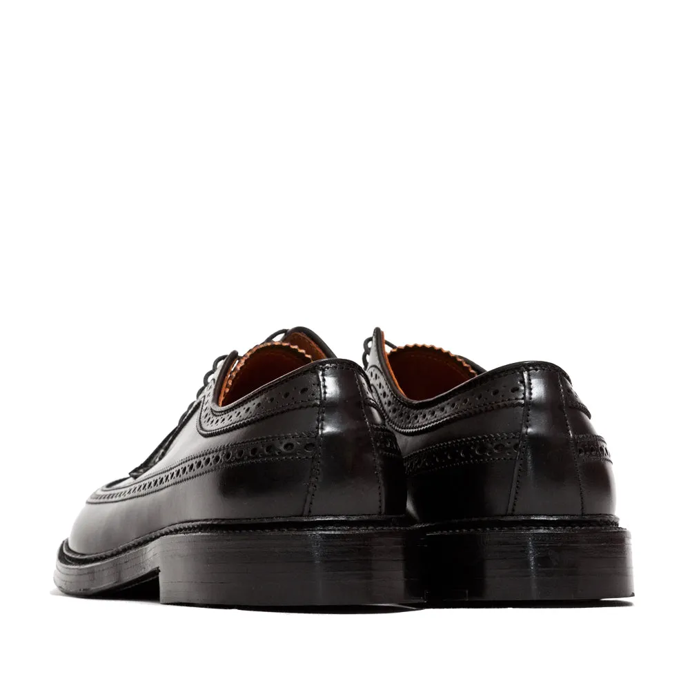 Alden Black Cordovan Longwing Blucher cricket