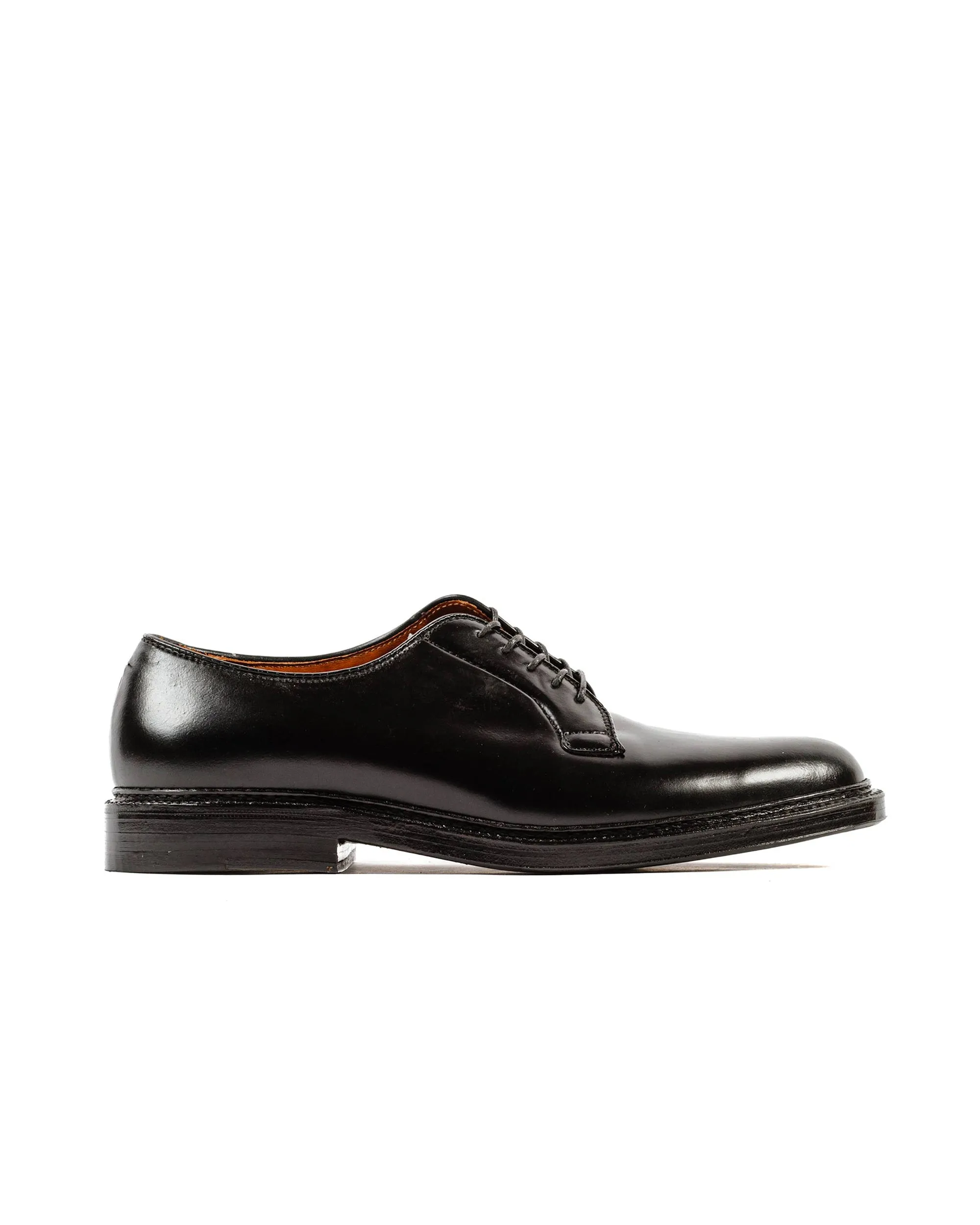Luxurious Touch Structured Design Alden Plain Toe Blucher Black Shell Cordovan 9901