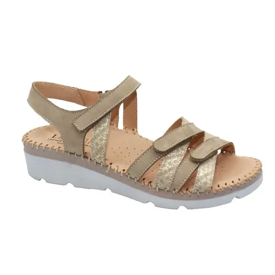 Fiesta King Walk Matte Edge