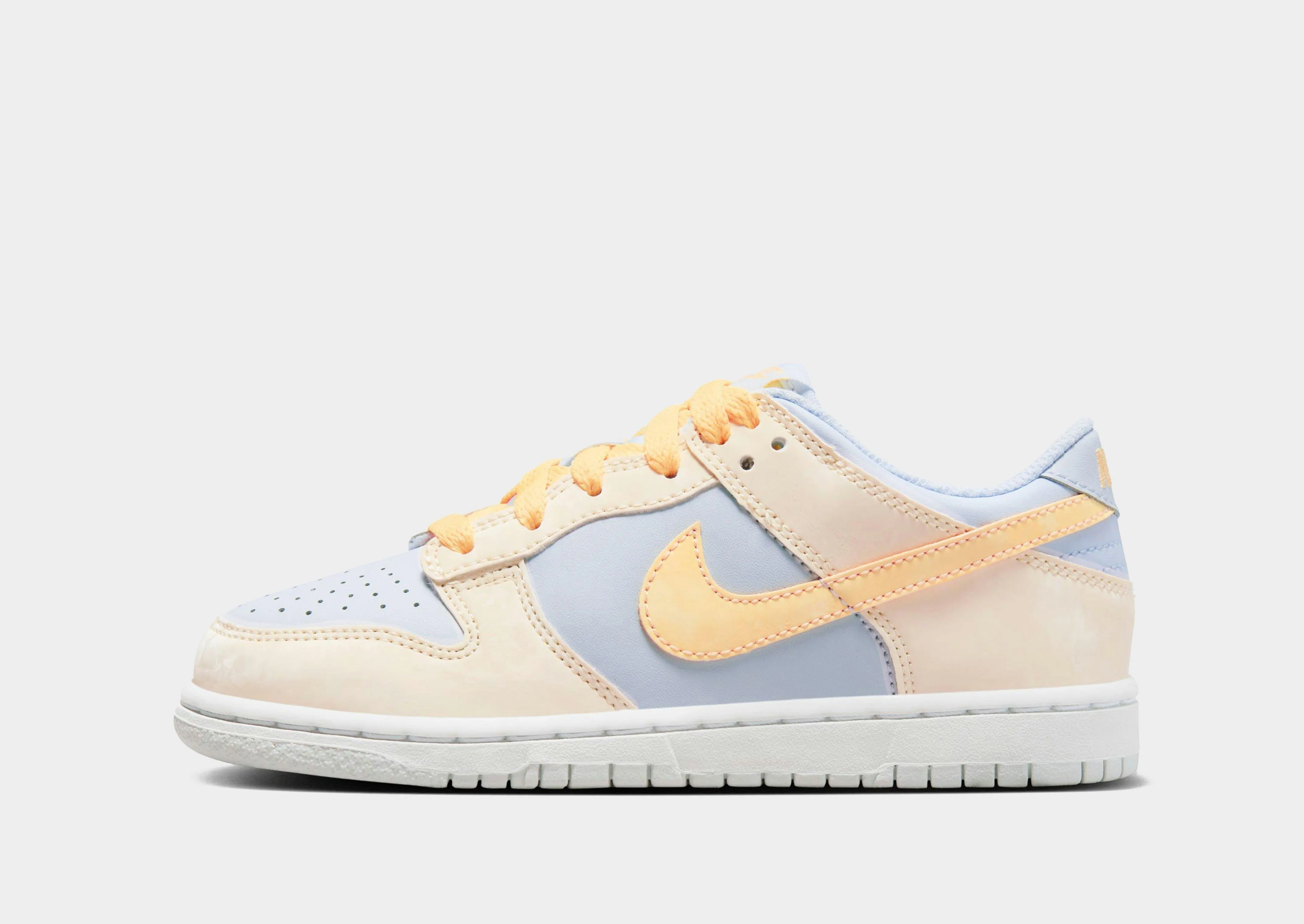 Dunk Low Children's Flexible Rubber Sole