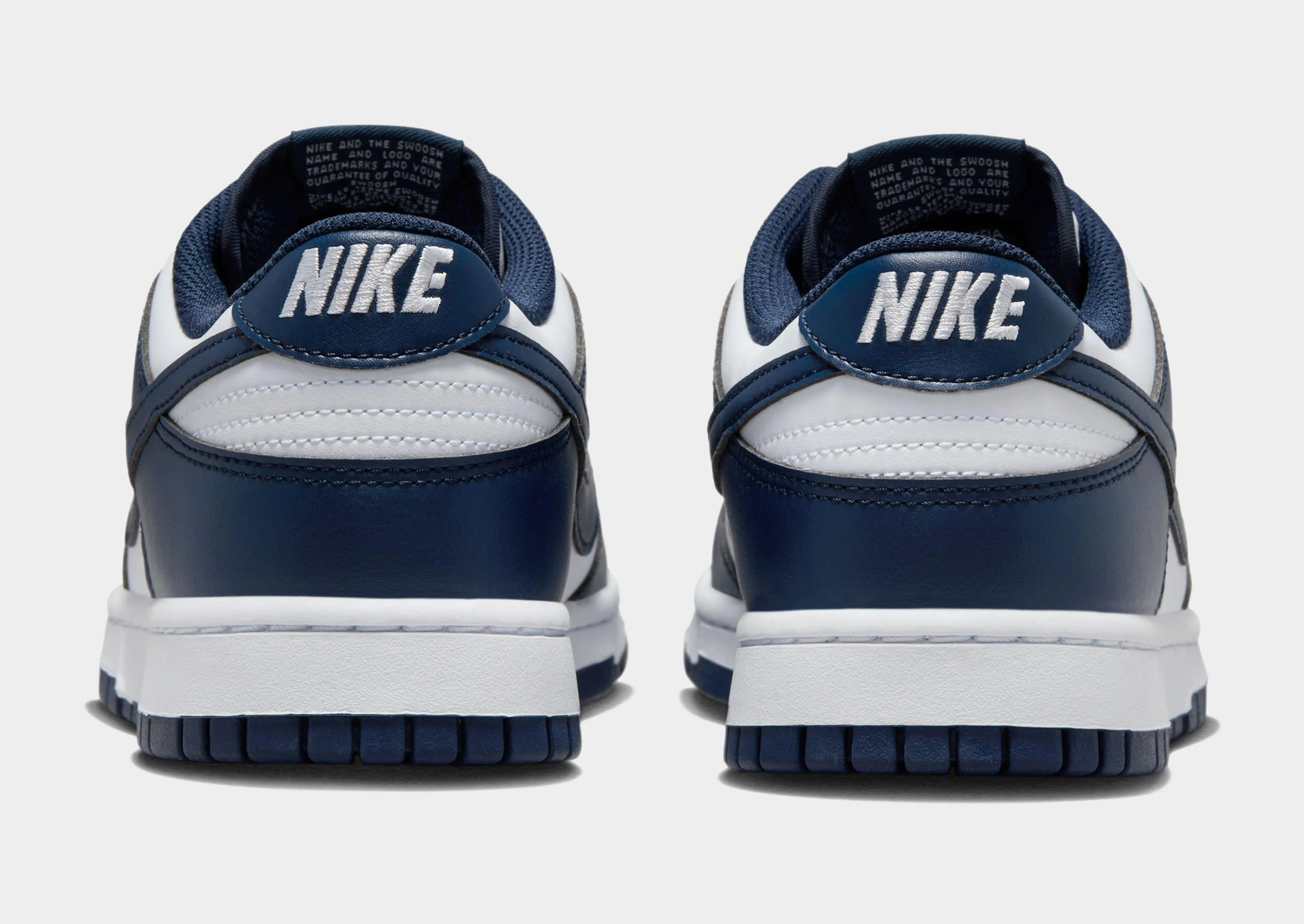 Dunk Low Retro Casual Sporty Padded Activity