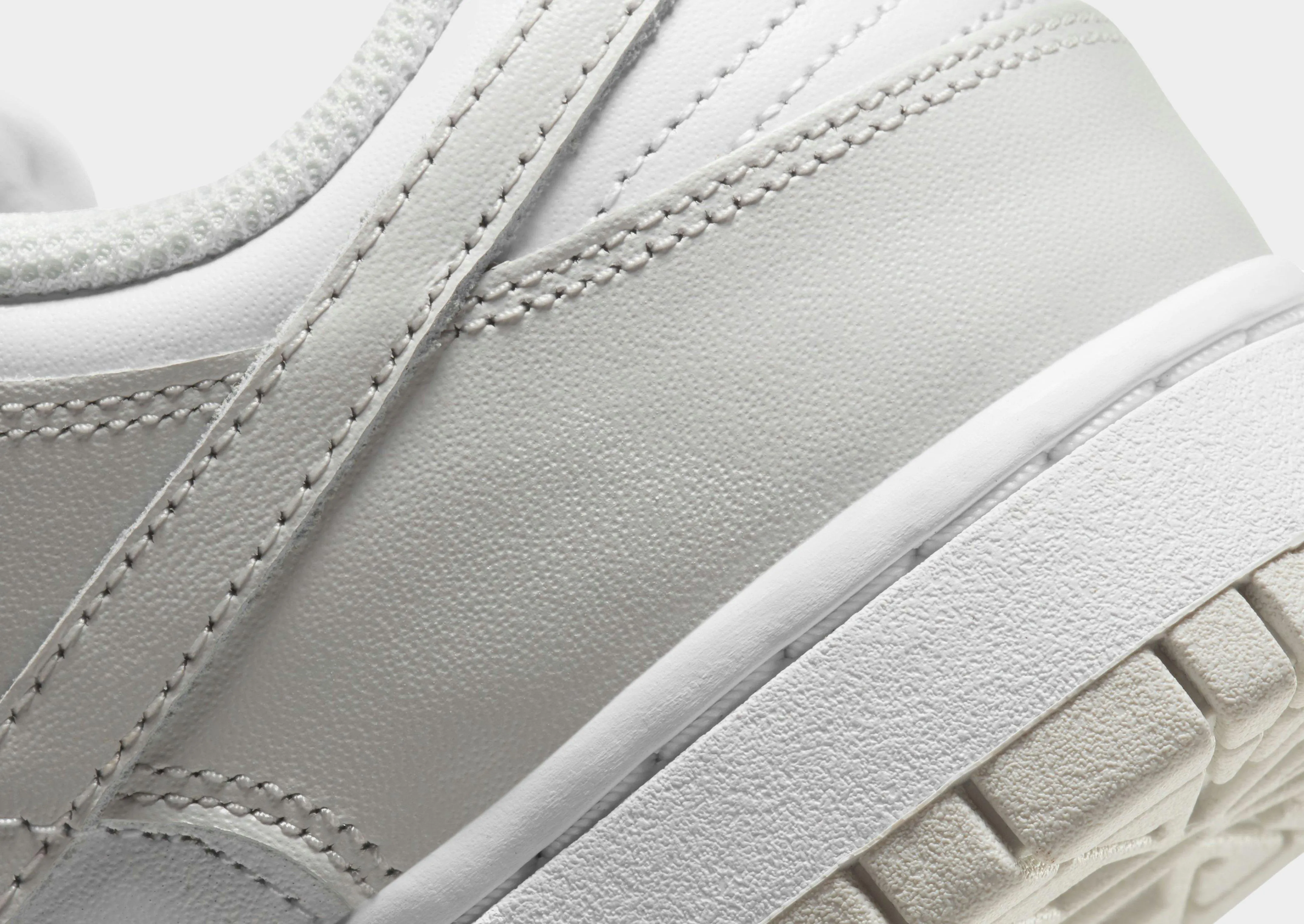 Footwear Tech Dunk Low Women's