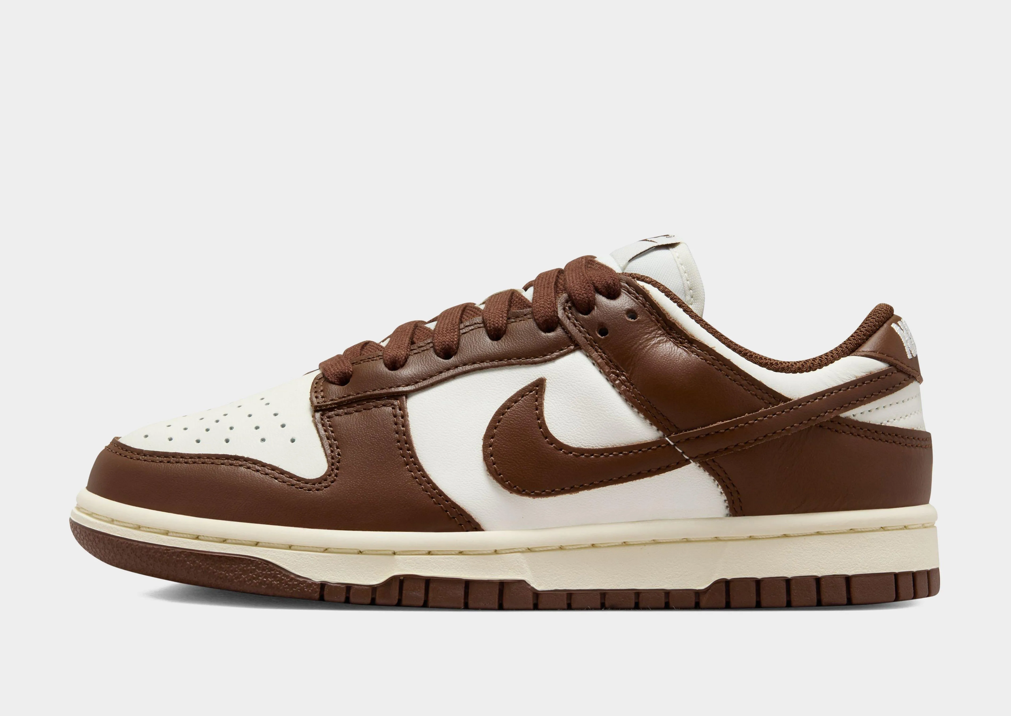 Cloud Support Dunk Low Women's