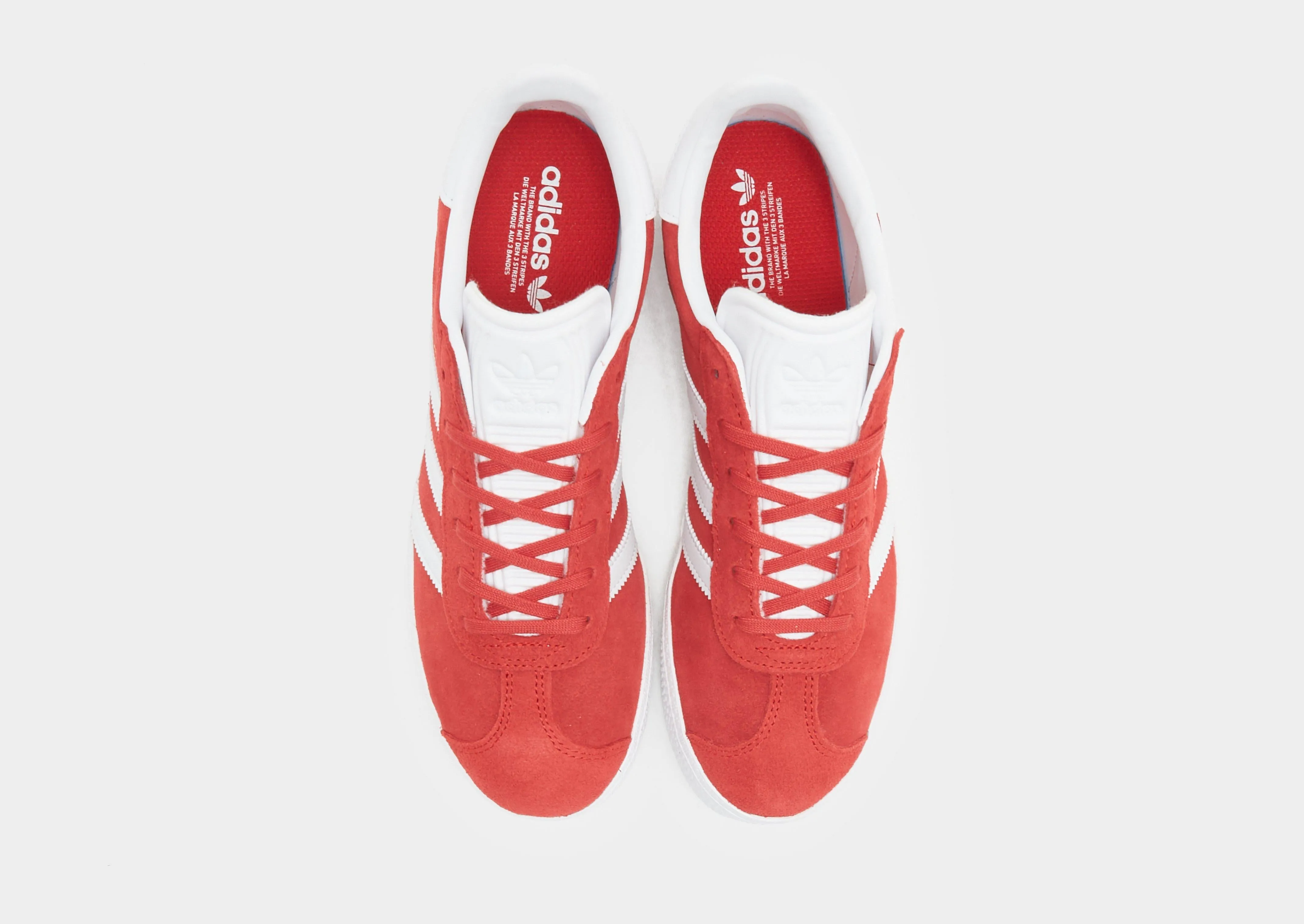 Friend Meet Gazelle Junior's