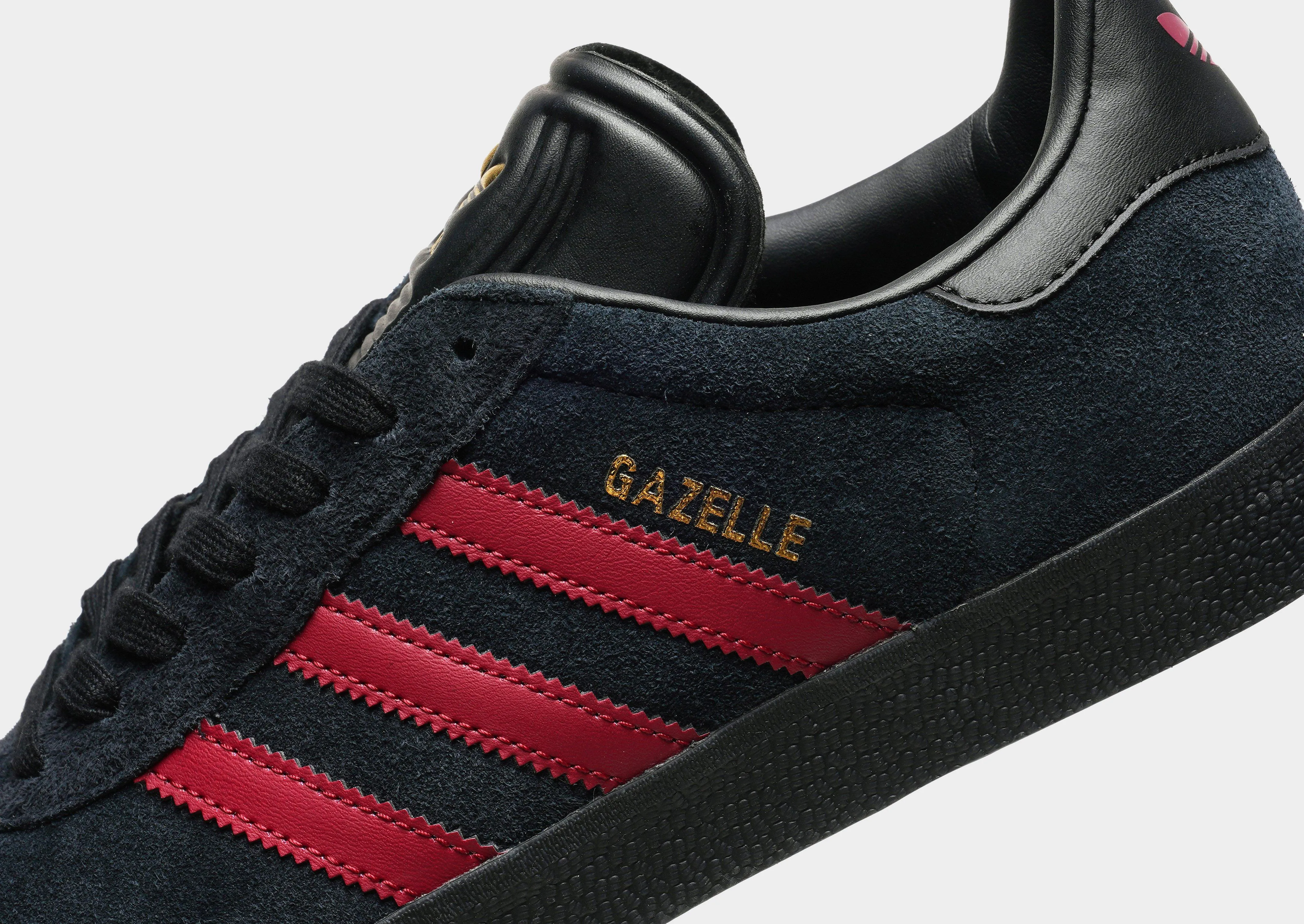 Track Step Look Walk Gazelle