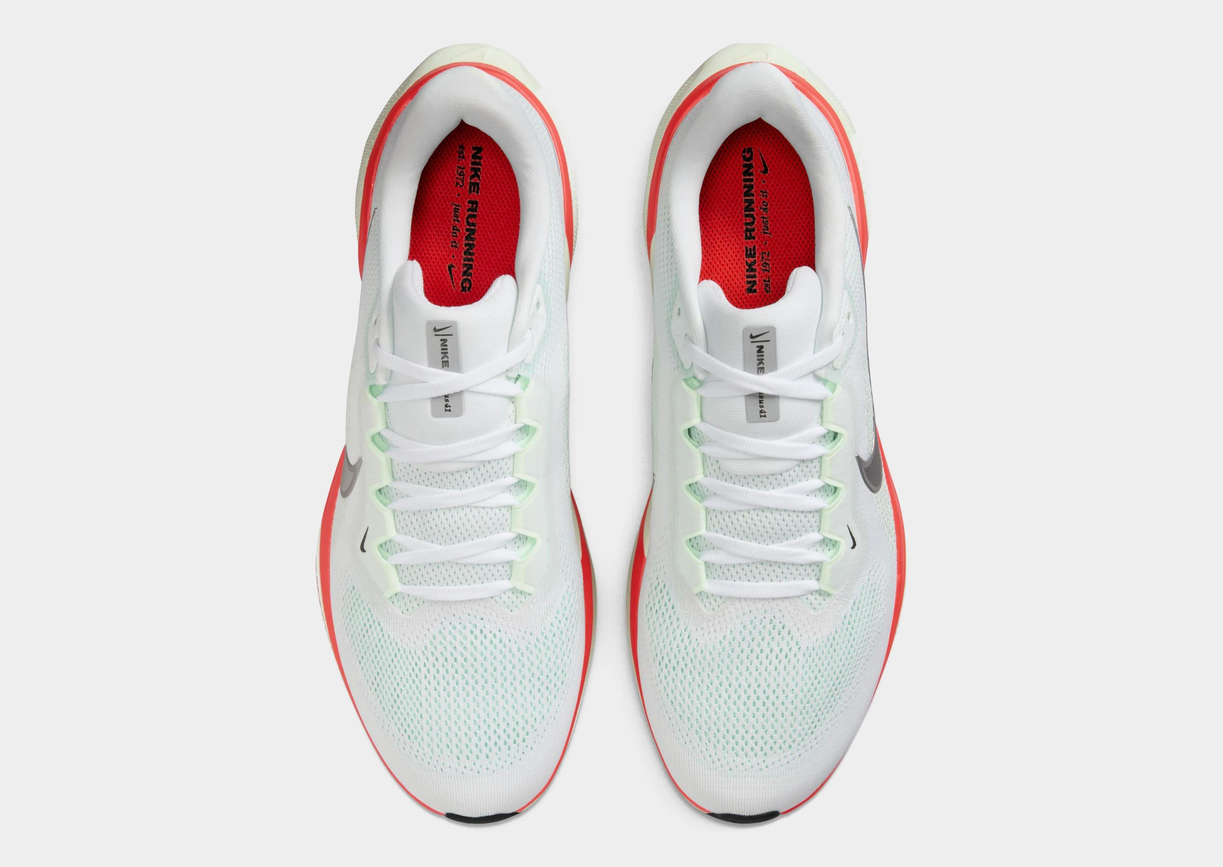 Pegasus 41 Versatile Trend