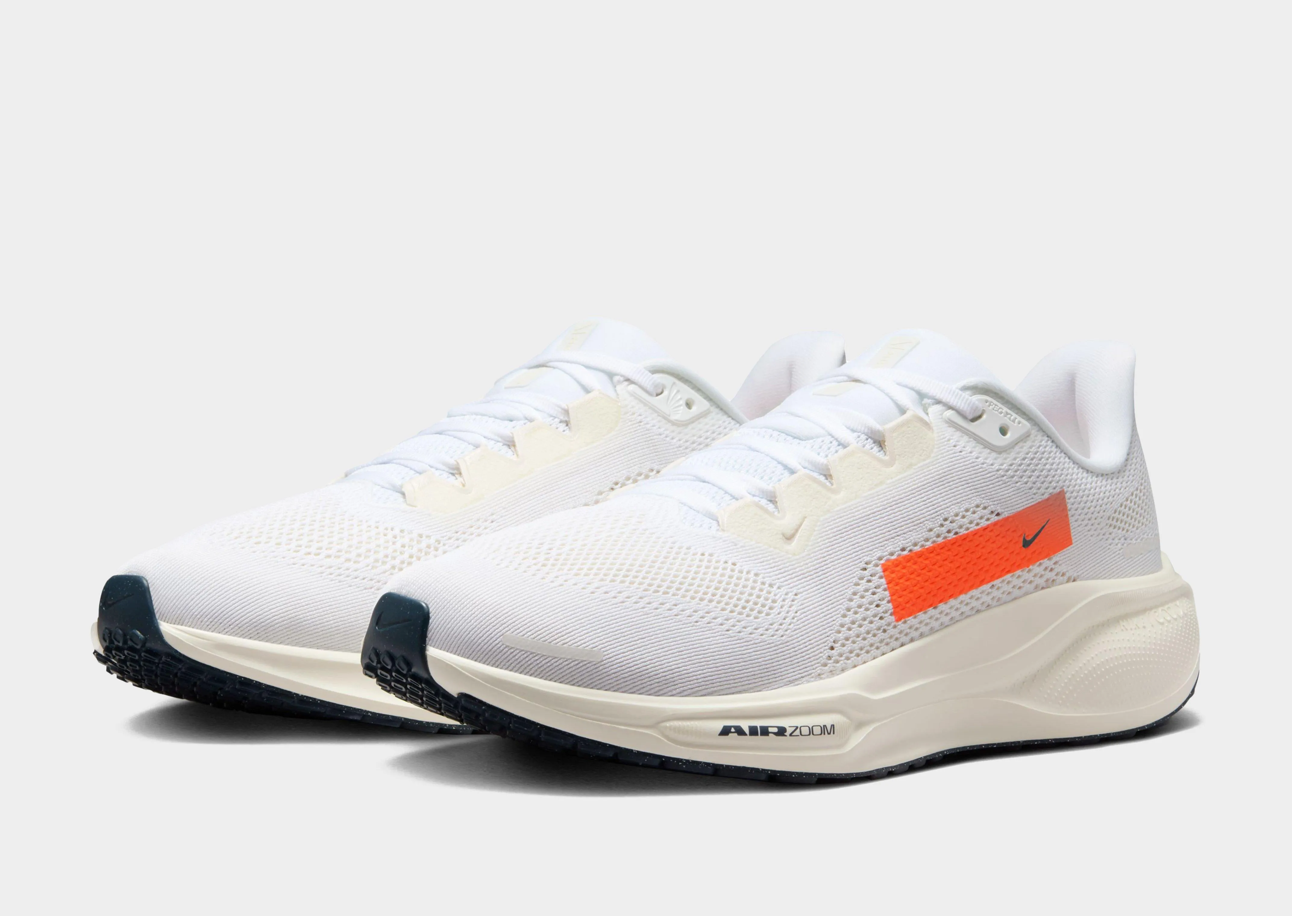 Pegasus 41 Travel Day