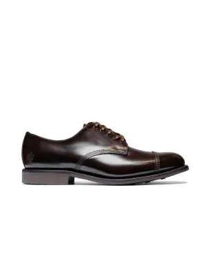 Sanders 1128TD Military Derby Shoe Ebony Brown sophisticated adults