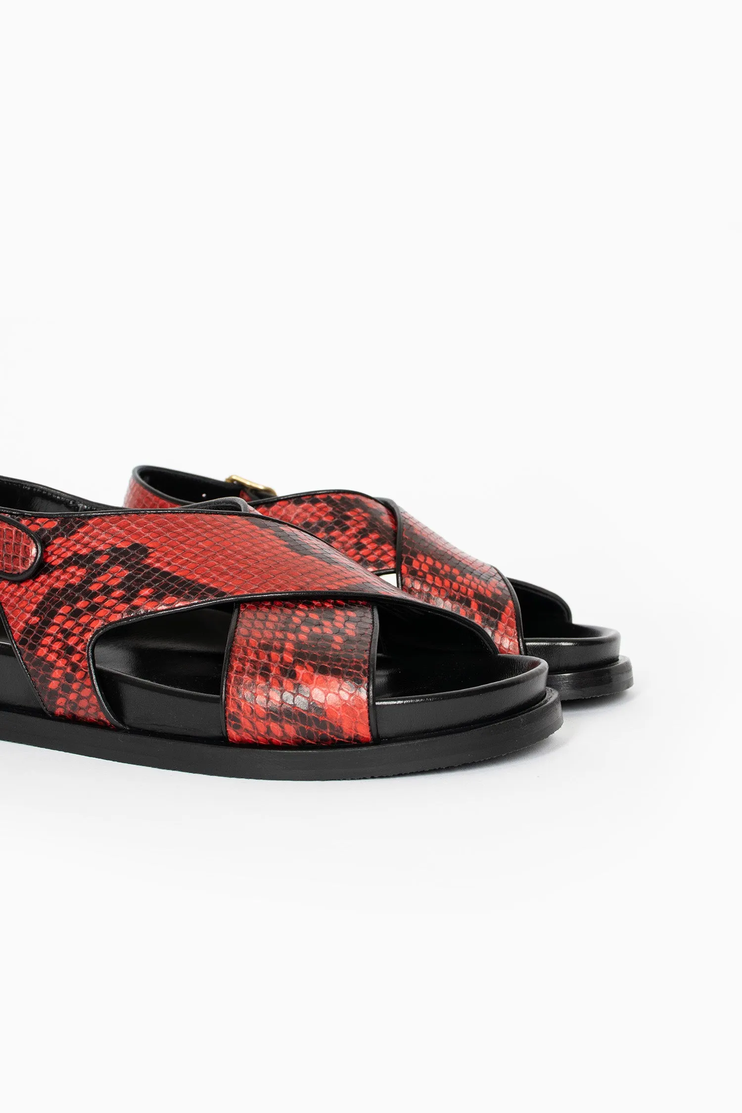 Snake Print Sandals Vermillion Biking Trip