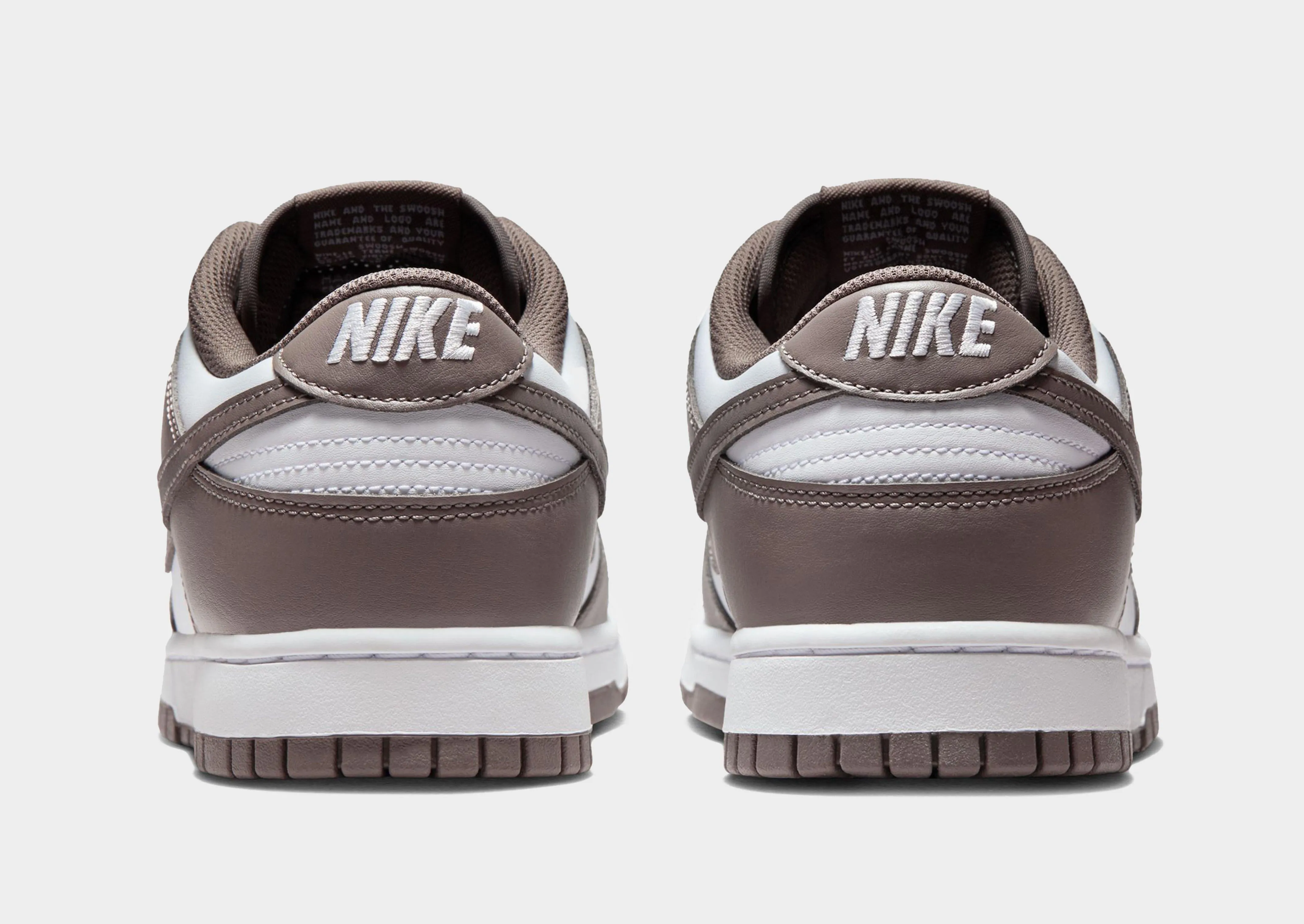 Indoor Training Dunk Low Retro