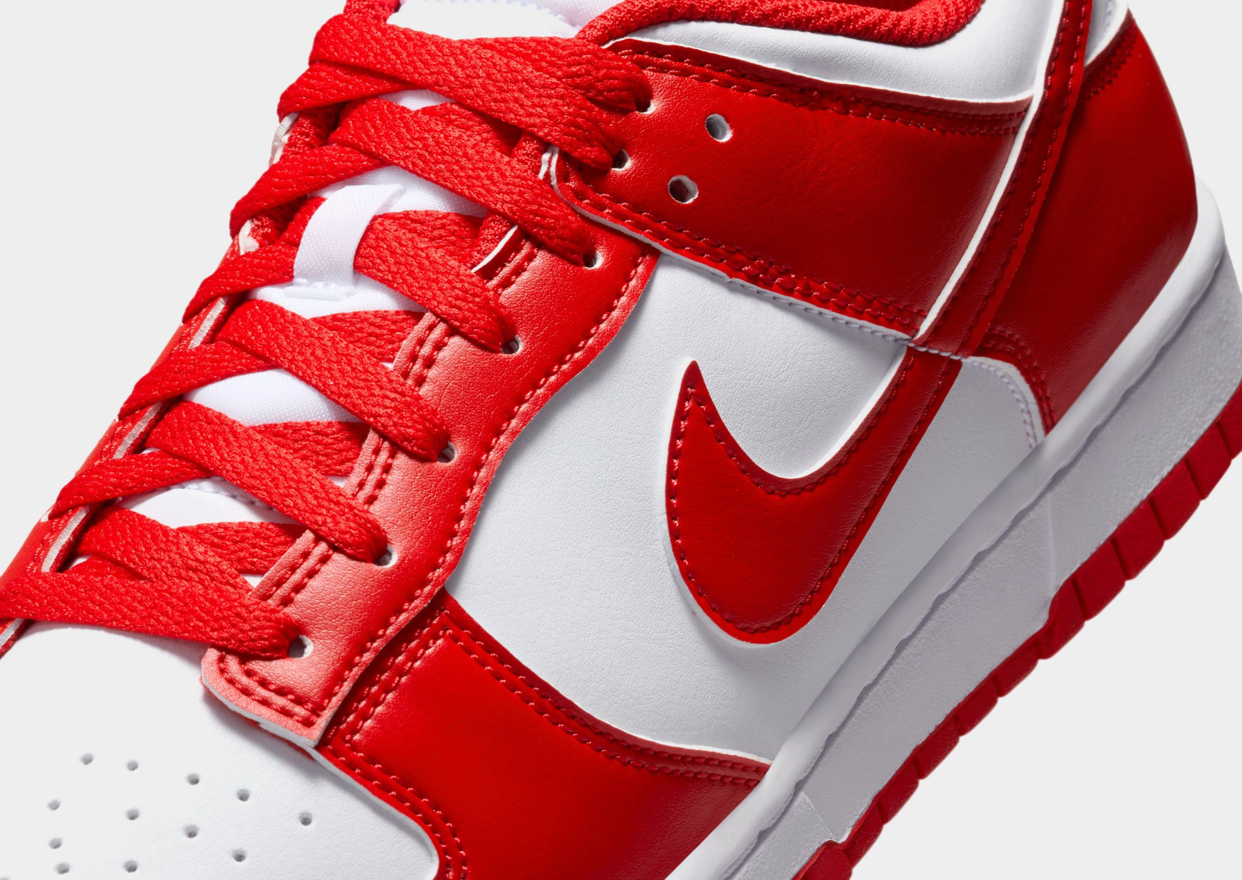 Dunk Low Retro Resilient Design