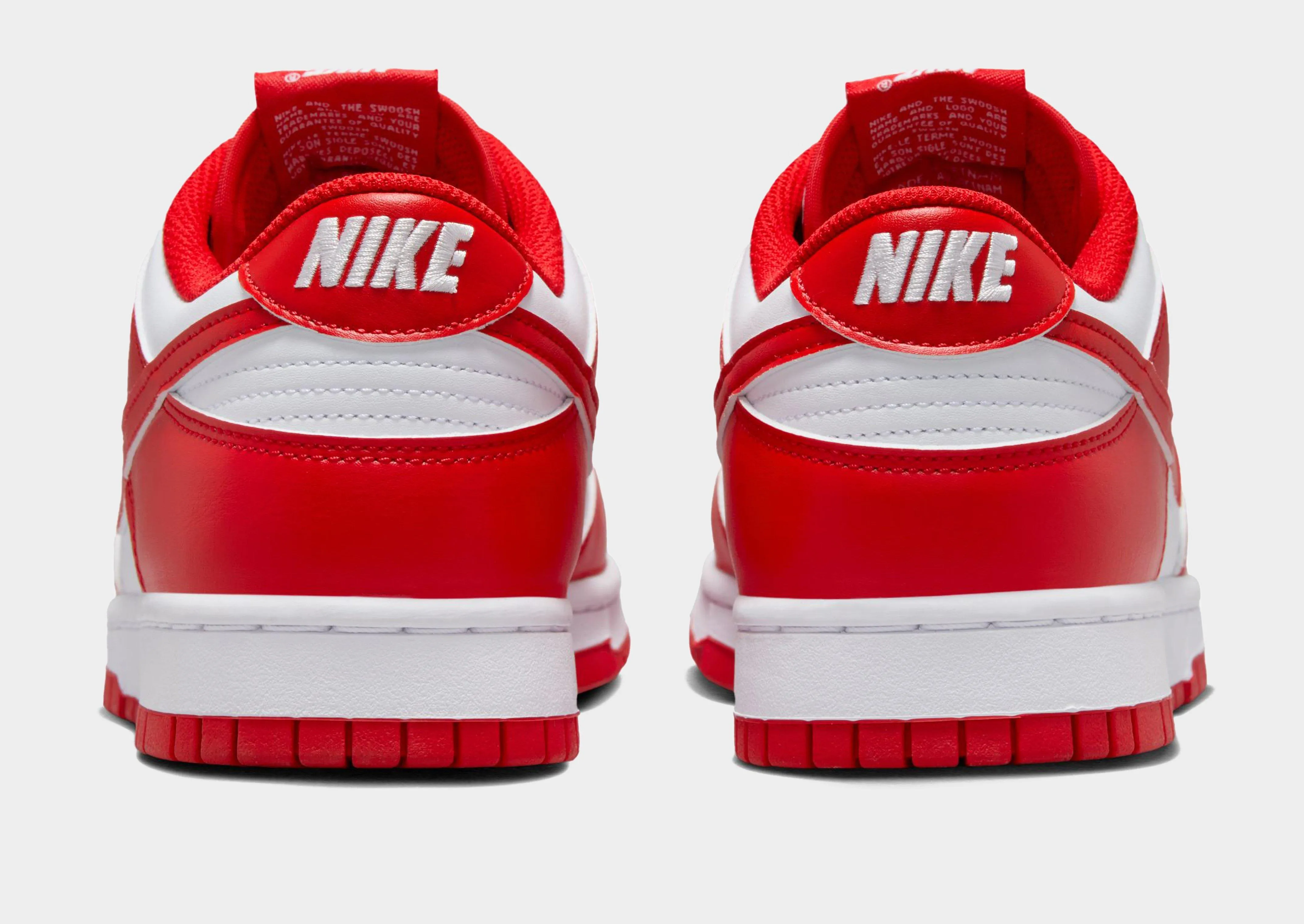 Dunk Low Retro Urban Movement Water resistant upper