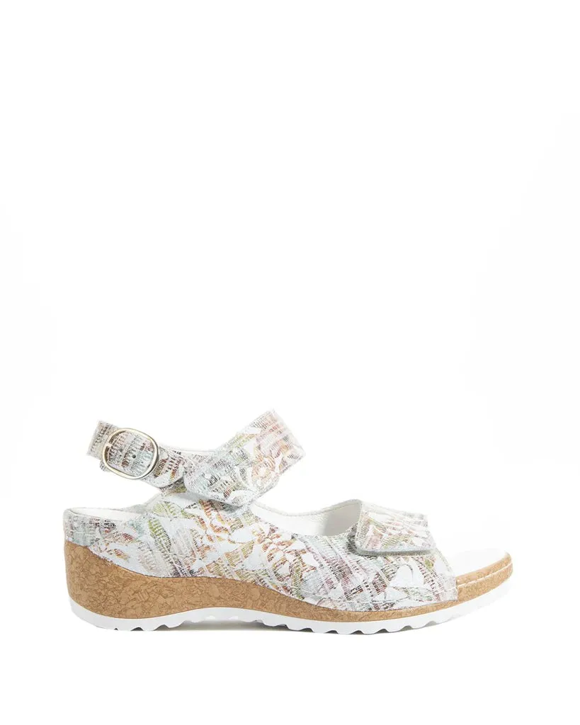 Modern Edge Daily Essential Hanila