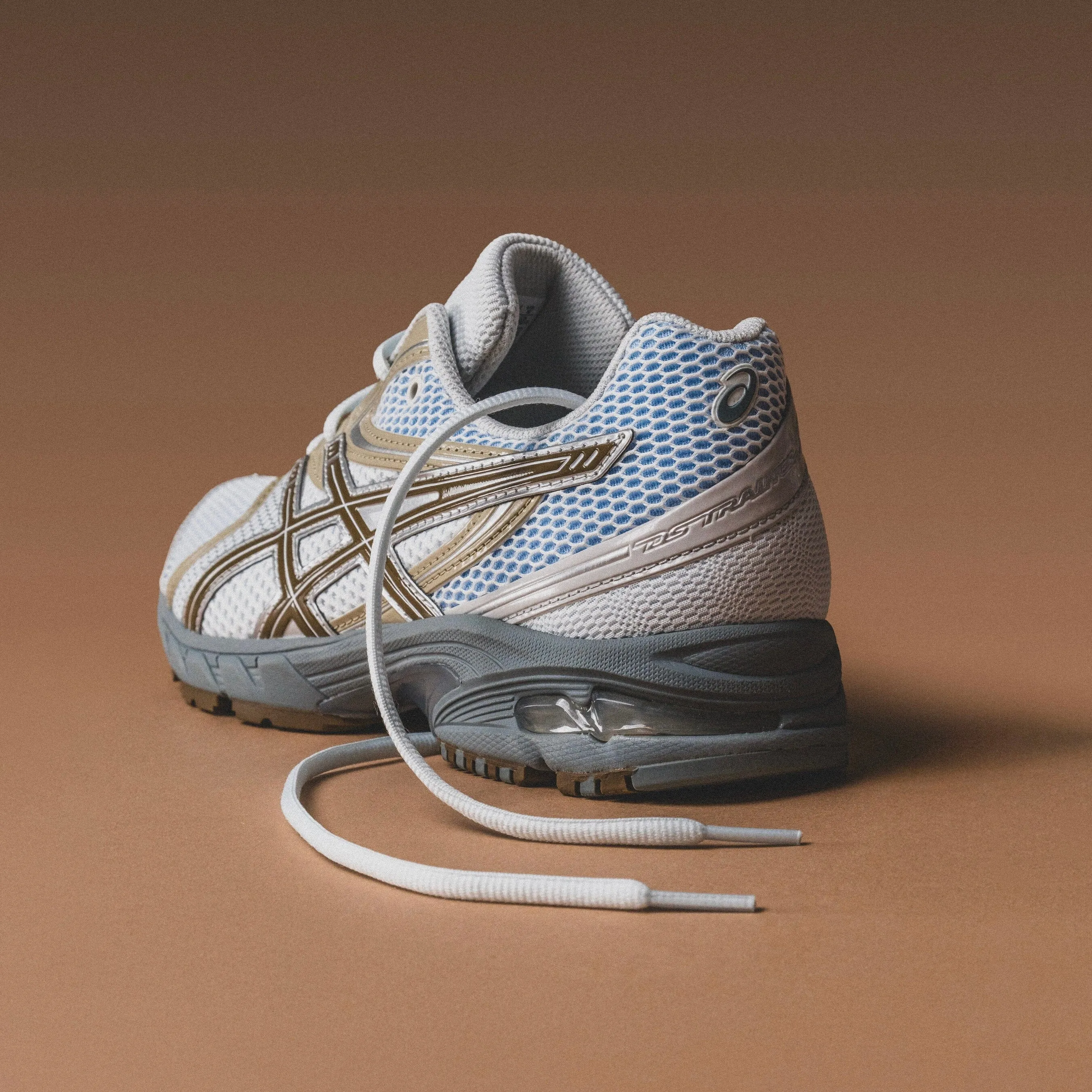 MEN'S ASICS | Gel-DS Trainer 14 (Airy Blue/Clay Canyon) Foot Shape Torsion Plate